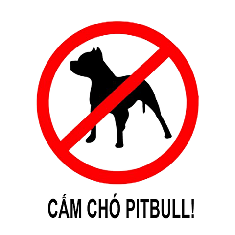 Việt Nam cần có luật cụ thể về nuôi chó dữ như pitbull - Ảnh 2. Việt Nam cần có luật cụ thể về nuôi chó dữ như pitbull - Ảnh 2.