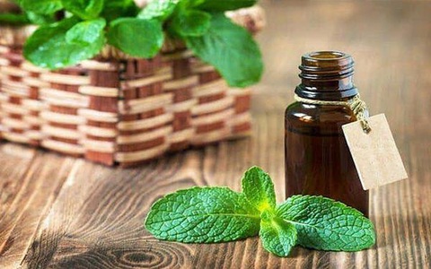 Diệt khuẩn khoang miệng - Bước quan trọng trong phòng chống dịch bệnh - Ảnh 1. Diệt khuẩn khoang miệng - Bước quan trọng trong phòng chống dịch bệnh - Ảnh 1.