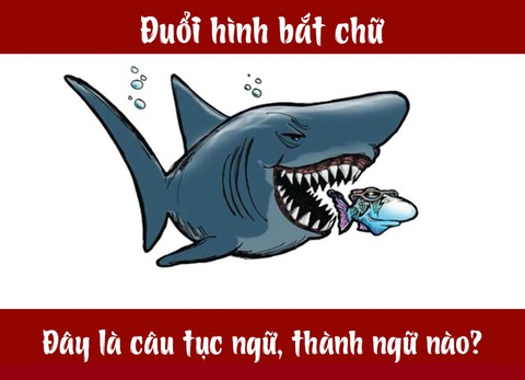 Câu tục ngữ, thành ngữ khó nhằn này là gì? (P15) - Ảnh 4. Câu tục ngữ, thành ngữ khó nhằn này là gì? (P15) - Ảnh 4.
