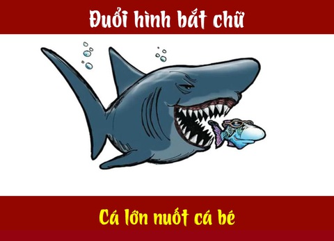 Câu tục ngữ, thành ngữ khó nhằn này là gì? (P15) - Ảnh 6.