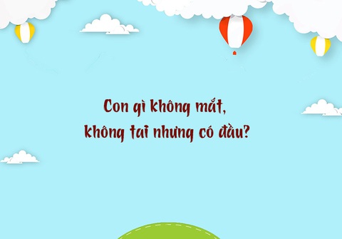 Đố vui: Con gì không mắt, không tai nhưng có đầu? - Ảnh 1. Đố vui: Con gì không mắt, không tai nhưng có đầu? - Ảnh 1.