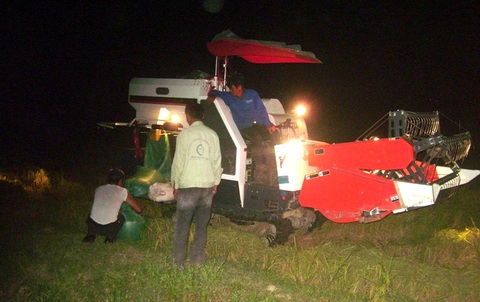 Người dân xã Nghi Vạn, huyện Nghi Lộc, Nghệ An gặt lúa vào ban đêm để tránh nắng nóng - Ảnh: DOÃN HÒA Người dân xã Nghi Vạn, huyện Nghi Lộc, Nghệ An gặt lúa vào ban đêm để tránh nắng nóng - Ảnh: DOÃN HÒA