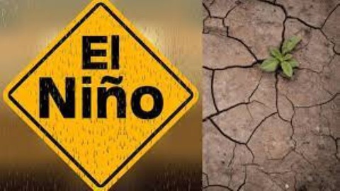 El Nino có thể đốt hết 3.000 tỉ USD của nhân loại - Ảnh 1. El Nino có thể đốt hết 3.000 tỉ USD của nhân loại - Ảnh 1.
