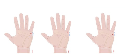 Đường chỉ tay quyết định thời điểm kết hôn của bạn - Ảnh 1. Đường chỉ tay quyết định thời điểm kết hôn của bạn - Ảnh 1.
