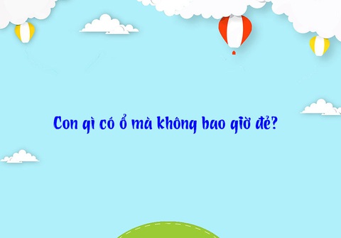 Đố vui: Con gì có ổ mà không bao giờ đẻ? - Ảnh 1. Đố vui: Con gì có ổ mà không bao giờ đẻ? - Ảnh 1.