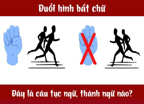 Câu tục ngữ, thành ngữ khó nhằn này là gì? (P18) - Ảnh 4. Câu tục ngữ, thành ngữ khó nhằn này là gì? (P18) - Ảnh 4.