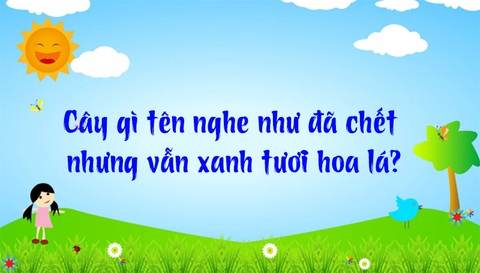 Đố vui: Ma gì mặc đồ đẹp nhất? - Ảnh 7.