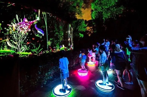 Đầu tư công viên ánh sáng thực tế ảo đầu tiên tại Việt Nam - Ảnh 1. Đầu tư công viên ánh sáng thực tế ảo đầu tiên tại Việt Nam - Ảnh 1.