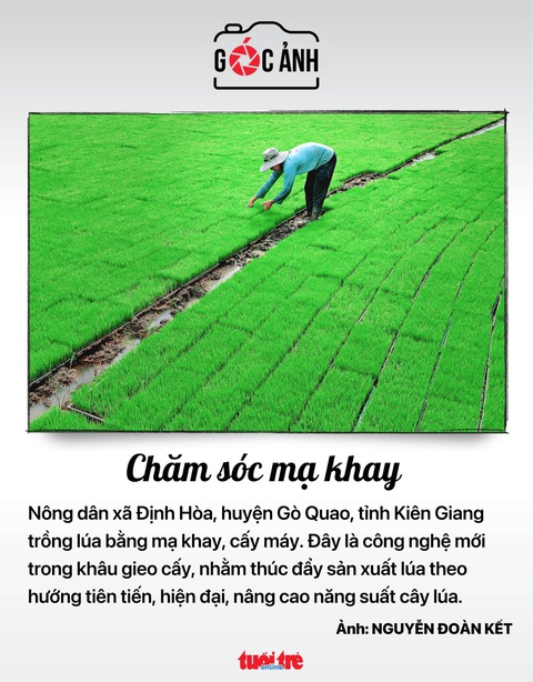 Tin tức sáng 24-5: Thảo cầm viên mở vườn sách; Ca COVID-19 lại tăng - Ảnh 10. Tin tức sáng 24-5: Thảo cầm viên mở vườn sách; Ca COVID-19 lại tăng - Ảnh 10.