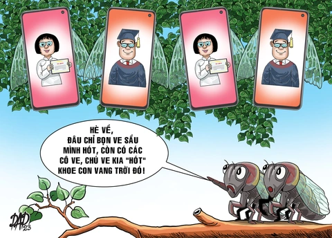 Mùa khoe con - Ảnh 1. Mùa khoe con - Ảnh 1.