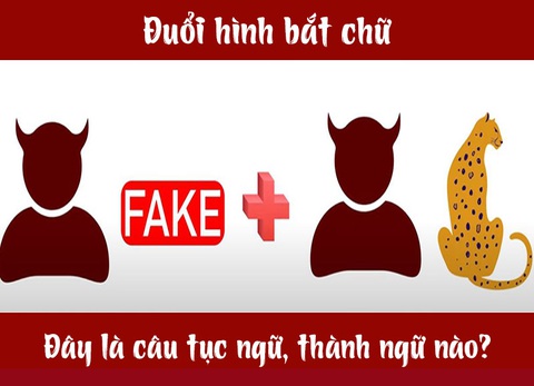 Câu tục ngữ, thành ngữ khó nhằn này là gì? (P21) - Ảnh 4. Câu tục ngữ, thành ngữ khó nhằn này là gì? (P21) - Ảnh 4.