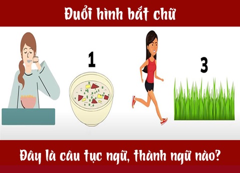 Câu tục ngữ, thành ngữ khó nhằn này là gì? (P19) - Ảnh 4. Câu tục ngữ, thành ngữ khó nhằn này là gì? (P19) - Ảnh 4.
