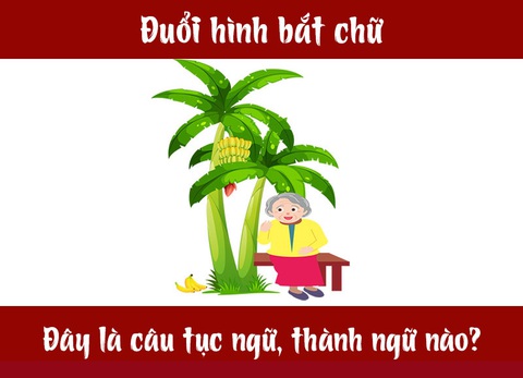 Câu tục ngữ, thành ngữ khó nhằn này là gì? (P21) - Ảnh 1. Câu tục ngữ, thành ngữ khó nhằn này là gì? (P21) - Ảnh 1.