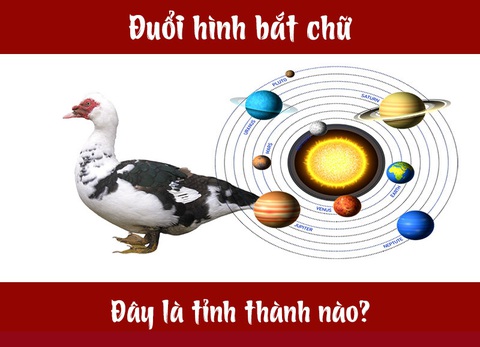 IQ cao có đoán được đây là tỉnh thành nào của Việt Nam? (P15) - Ảnh 1. IQ cao có đoán được đây là tỉnh thành nào của Việt Nam? (P15) - Ảnh 1.