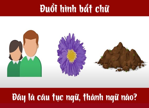 Câu tục ngữ, thành ngữ khó nhằn này là gì? (P20) - Ảnh 7. Câu tục ngữ, thành ngữ khó nhằn này là gì? (P20) - Ảnh 7.