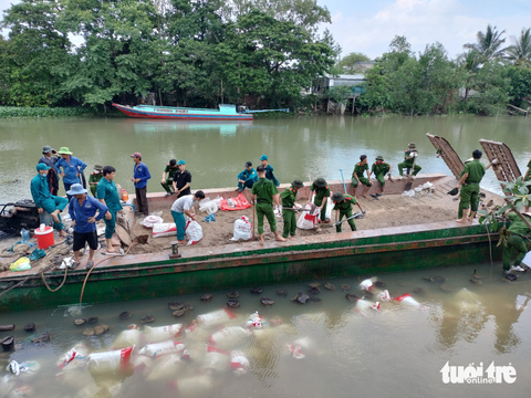 Trồng 38.000 cây bần chống sạt lở bờ kênh - Ảnh 1. Trồng 38.000 cây bần chống sạt lở bờ kênh - Ảnh 1.