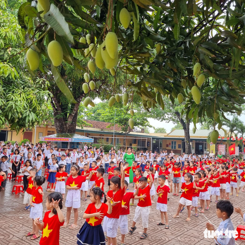 Thầy cô hái xoài trong sân trường tặng học trò cuối năm học - Ảnh 2. Thầy cô hái xoài trong sân trường tặng học trò cuối năm học - Ảnh 2.