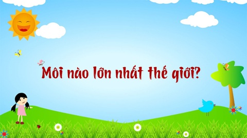 Những câu đố mẹo, chỉ người thông minh mới giải được (P2) - Ảnh 1. Những câu đố mẹo, chỉ người thông minh mới giải được (P2) - Ảnh 1.