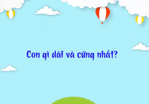 Những câu đố mẹo, chỉ người thông minh mới giải được - Ảnh 4.