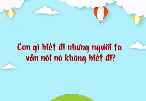 Những câu đố mẹo, chỉ người thông minh mới giải được (P2) - Ảnh 4. Những câu đố mẹo, chỉ người thông minh mới giải được (P2) - Ảnh 4.