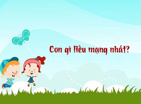 Những câu đố mẹo, chỉ người thông minh mới giải được (P3) - Ảnh 4. Những câu đố mẹo, chỉ người thông minh mới giải được (P3) - Ảnh 4.