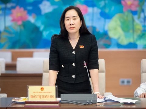 Phó chủ nhiệm Ủy ban Kinh tế: Mức giảm trừ gia cảnh hiện không đủ đáp ứng chi tiêu cơ bản - Ảnh 1. Phó chủ nhiệm Ủy ban Kinh tế: Mức giảm trừ gia cảnh hiện không đủ đáp ứng chi tiêu cơ bản - Ảnh 1.