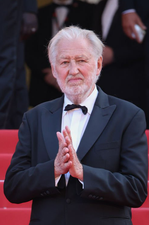 Đạo diễn Trần Anh Hùng trên thảm đỏ Cannes 2023 - Ảnh 7. Đạo diễn Trần Anh Hùng trên thảm đỏ Cannes 2023 - Ảnh 7.