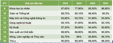 Ngành học nào giúp sinh viên có việc làm nhiều nhất? - Ảnh 4. Ngành học nào giúp sinh viên có việc làm nhiều nhất? - Ảnh 4.