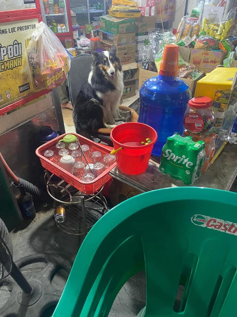 Ảnh vui 27-5: Bỏ gỏi gà măng cụt, mì gói sầu riêng mới là chân ái - Ảnh 4.