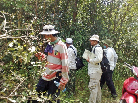 Cao su Đồng Nai - Kratie: 15 năm gian khó biết bao nhiêu tình - Ảnh 4. Những ngày đầu đo đạc cắm mốc trong vùng dự án