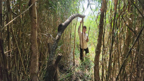 Chọn được trảng ong đẹp, thợ lành nghề có thể tự mình gác một bộ kèo - Ảnh: SƠN LÂM Chọn được trảng ong đẹp, thợ lành nghề có thể tự mình gác một bộ kèo - Ảnh: SƠN LÂM