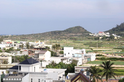 Tránh đầu cơ, Lý Sơn không bán đất cho người ngoài đảo - Ảnh 1. Đảo Lý Sơn, nơi xảy ra tình trạng mua đất nông nghiệp tăng đột biến - Ảnh: TRẦN MAI