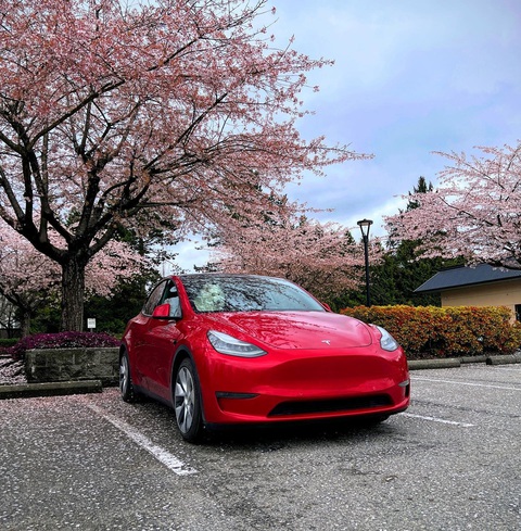 Sống trong xe Tesla: 3 tháng chỉ hết 700.000 đồng tiền điện - Ảnh 2. Sống trong xe Tesla: 3 tháng chỉ hết 700.000 đồng tiền điện - Ảnh 2.