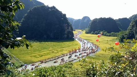 ‘Sắc vàng Tam Cốc - Tràng An’ gọi mời du khách về thăm lúa vàng - Ảnh 1. ‘Sắc vàng Tam Cốc - Tràng An’ gọi mời du khách về thăm lúa vàng - Ảnh 1.