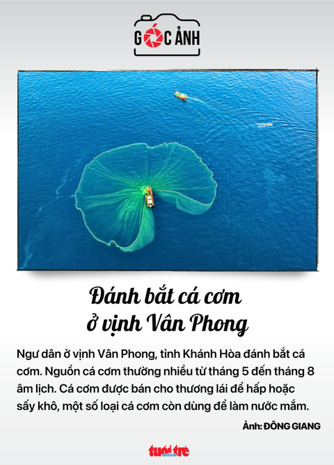 Tin tức sáng 29-5: Xây dựng thương hiệu Gạo Việt Nam, đưa ra thị trường gạo dinh dưỡng, gạo đồ... - Ảnh 4. Tin tức sáng 29-5: Xây dựng thương hiệu Gạo Việt Nam, đưa ra thị trường gạo dinh dưỡng, gạo đồ... - Ảnh 4.