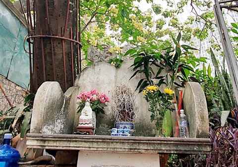 Ăn bún dưới cội hoa bún 300 tuổi - Ảnh 3. Cây bún giờ được rào bảo vệ và lập bàn thờ dưới gốc cây - Ảnh: TÂM LÊ