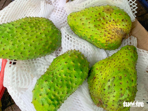 Trà mãng cầu lên trend, mãng cầu xiêm đắt ngang sầu riêng - Ảnh 1. Trà mãng cầu lên trend, mãng cầu xiêm đắt ngang sầu riêng - Ảnh 1.