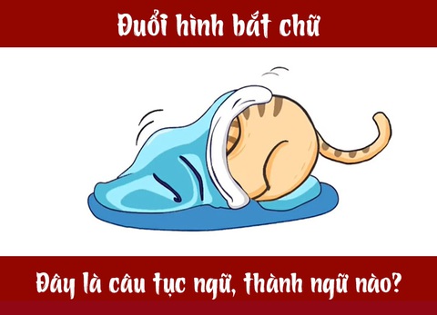 Câu tục ngữ, thành ngữ khó nhằn này là gì? (P25) - Ảnh 4. Câu tục ngữ, thành ngữ khó nhằn này là gì? (P25) - Ảnh 4.