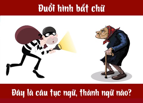 Câu tục ngữ, thành ngữ khó nhằn này là gì? (P24) - Ảnh 1. Câu tục ngữ, thành ngữ khó nhằn này là gì? (P24) - Ảnh 1.