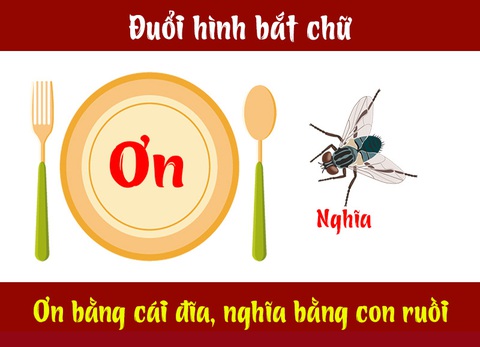 Câu tục ngữ, thành ngữ khó nhằn này là gì? (P23) - Ảnh 3.