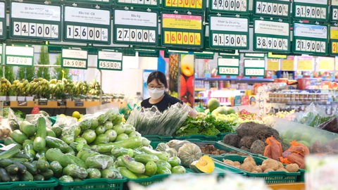 Sức hấp dẫn của ăn chay - Ảnh 5. Rau củ tươi xanh được bày bán tại siêu thị Co.opmart, phục vụ các khách hàng chế biến các món chay, mặn - Ảnh: MỘC MIÊN