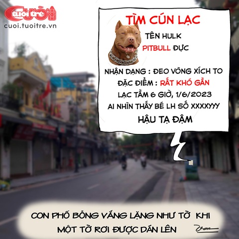 Tìm chó lạc khiến con phố im ắng - Ảnh 1. Tìm chó lạc khiến con phố im ắng - Ảnh 1.