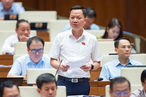 Một dự án làm 4 nhiệm kỳ mà chỉ liên quan đến chuyển đổi đất rừng - Ảnh 1. Một dự án làm 4 nhiệm kỳ mà chỉ liên quan đến chuyển đổi đất rừng - Ảnh 1.