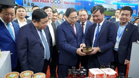 Quảng Trị thay đổi để tăng hiệu quả thu hút đầu tư - Ảnh 4. Quảng Trị thay đổi để tăng hiệu quả thu hút đầu tư - Ảnh 4.
