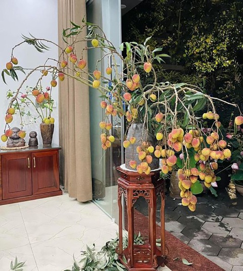 Ảnh vui 31-5: Chú ngựa chiến thắng cuộc đua nhờ cái lưỡi - Ảnh 6. Ảnh vui 31-5: Chú ngựa chiến thắng cuộc đua nhờ cái lưỡi - Ảnh 6.