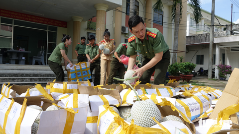 Bị chuột cắn phá, tuổi trẻ Kiên Giang kịp thời hỗ trợ đầu ra 1 tấn dưa lưới cho bà con - Ảnh 1. Bị chuột cắn phá, tuổi trẻ Kiên Giang kịp thời hỗ trợ đầu ra 1 tấn dưa lưới cho bà con - Ảnh 1.