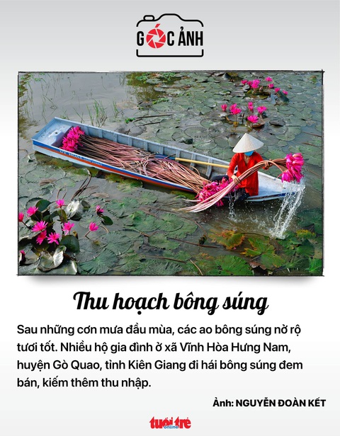 Tin tức sáng 1-6: Ca mắc COVID-19 tăng gần gấp đôi; Nộp thuế trên VNeID - Ảnh 6. Tin tức sáng 1-6: Ca mắc COVID-19 tăng gần gấp đôi; Nộp thuế trên VNeID - Ảnh 6.