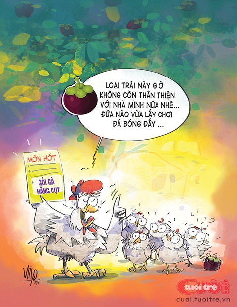 Gà mẹ cấm con chơi... măng cụt - Ảnh 1. Gà mẹ cấm con chơi... măng cụt - Ảnh 1.