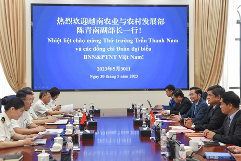 Trung Quốc đề xuất thí điểm cửa khẩu thông minh để giải tỏa ùn tắc nông sản Việt - Ảnh 3. Trung Quốc đề xuất thí điểm cửa khẩu thông minh để giải tỏa ùn tắc nông sản Việt - Ảnh 3.