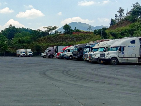 Tin tức sáng 3-6: Xuất khẩu sầu riêng tăng rất mạnh, hơn 573% - Ảnh 1. Tin tức sáng 3-6: Xuất khẩu sầu riêng tăng rất mạnh, hơn 573% - Ảnh 1.